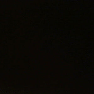 Meet your Posher, Vince